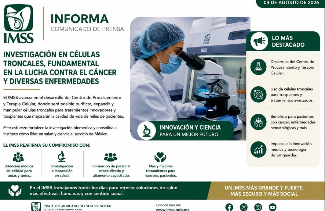 Investigación en células troncales, fundamental en la lucha contra el cáncer y diversas enfermedades.